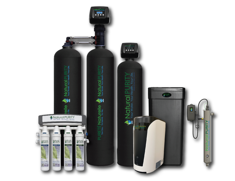 Natural Purity Group Photo 2